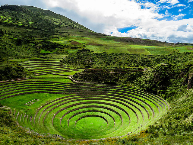 moray-4